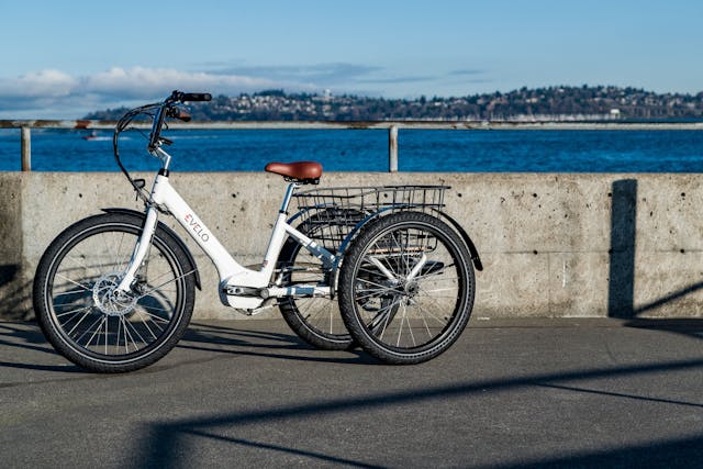 Efficient Electric Cargo Bikes – How To Choose, Convert, And Utilize For Transportation