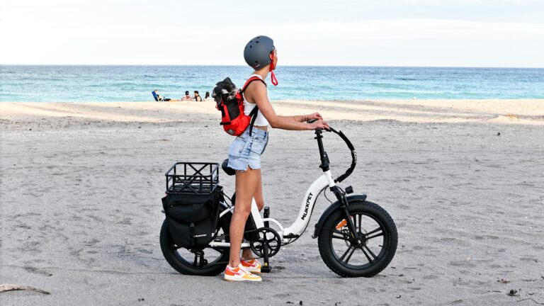 The Ultimate Guide to Stylish Ebikes for Teens