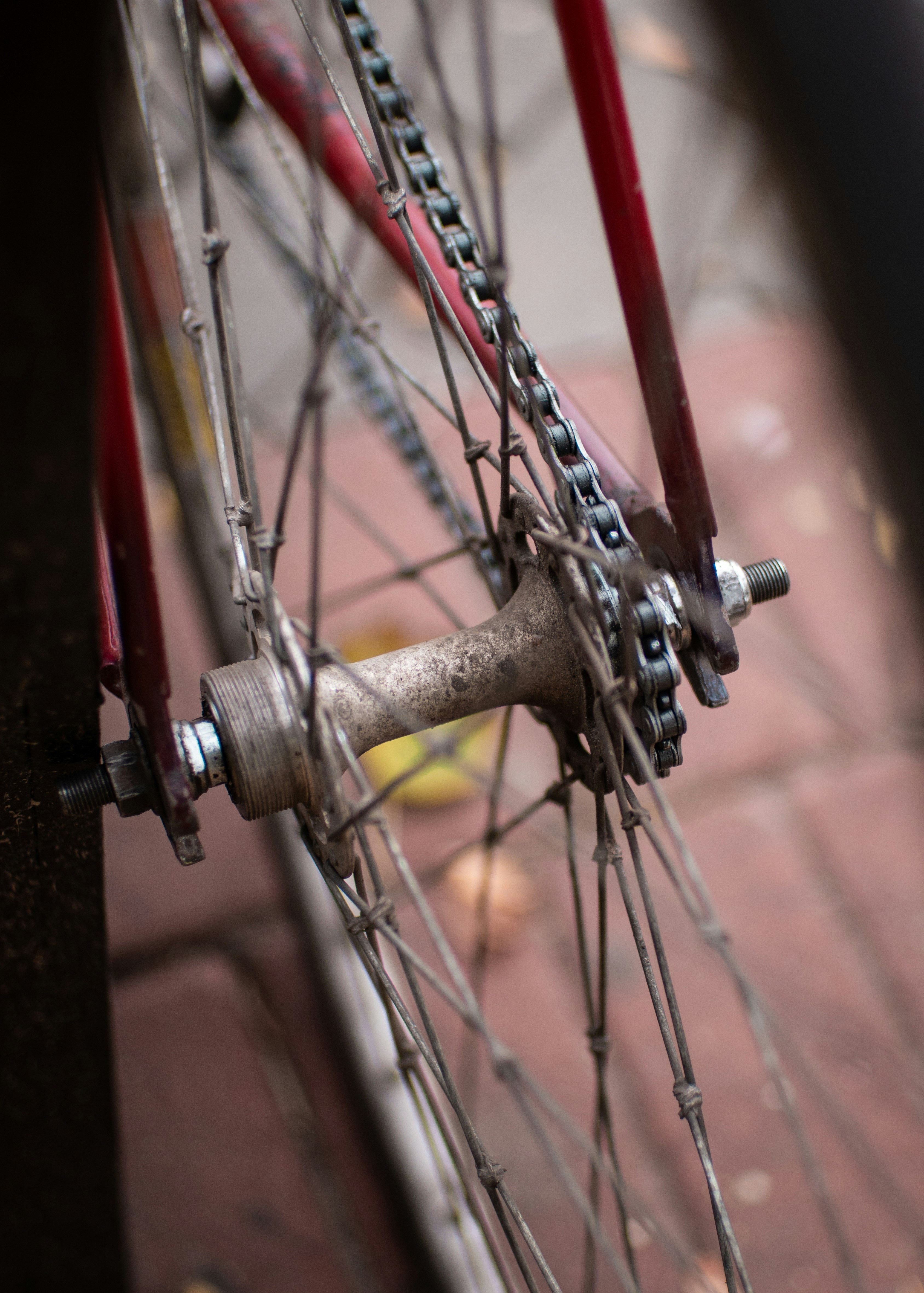 E-Bike Chain Maintenance: Keep Your Ride Running Smoothly