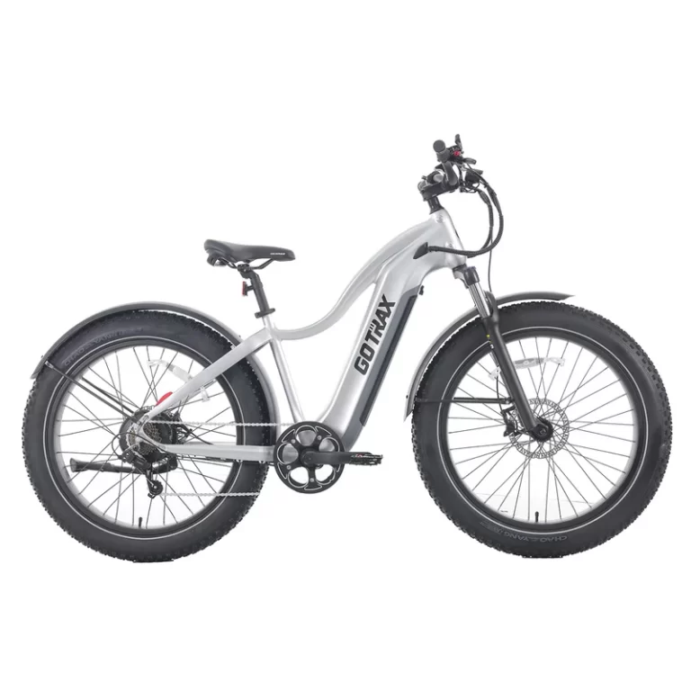 Gotrax Tundra E-Bike Review