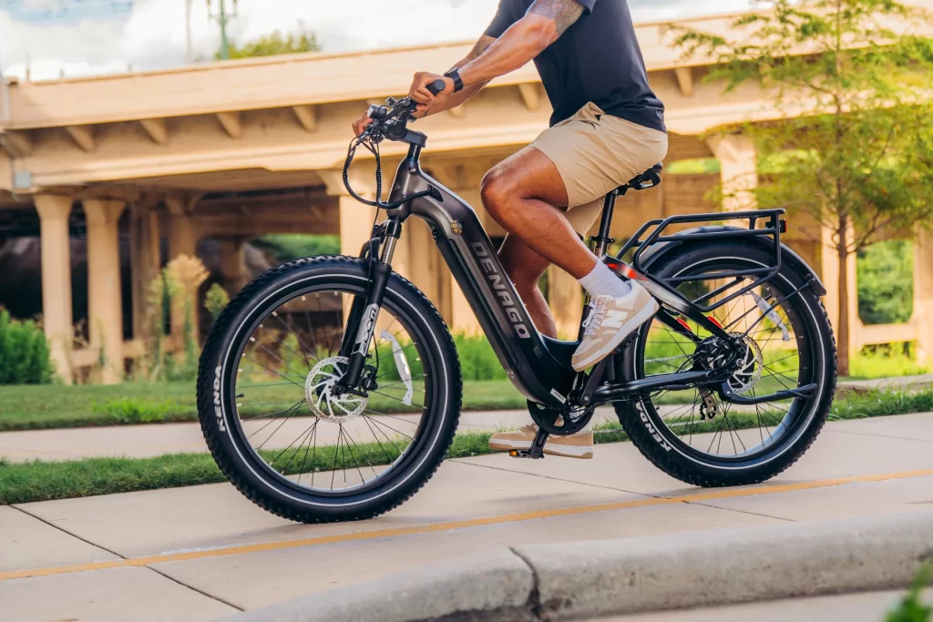 denago fat tire 2 ebike