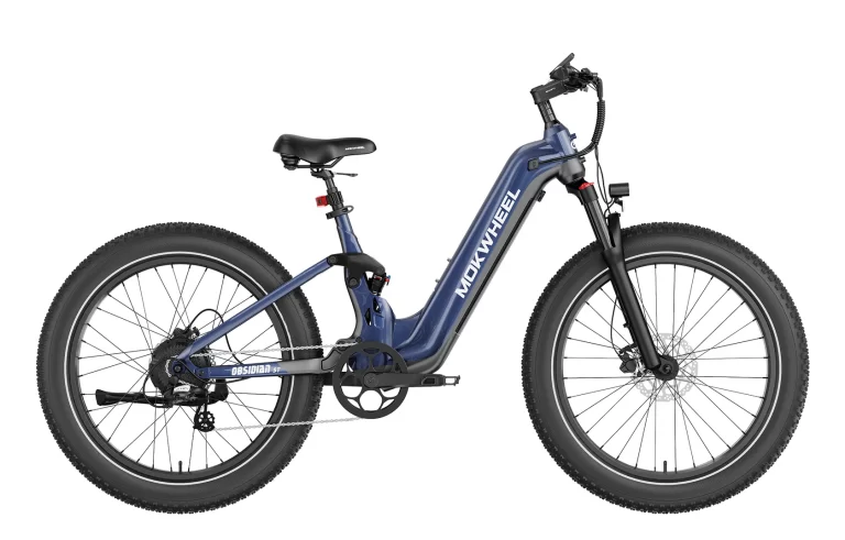 mokwheel obsdiant st ebike