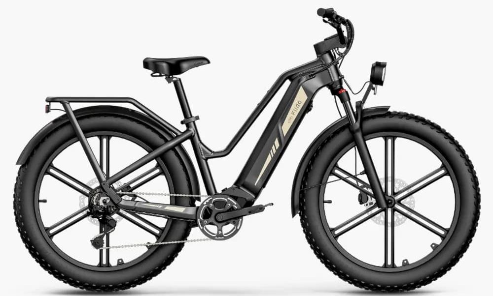 fiido titan long range ebike