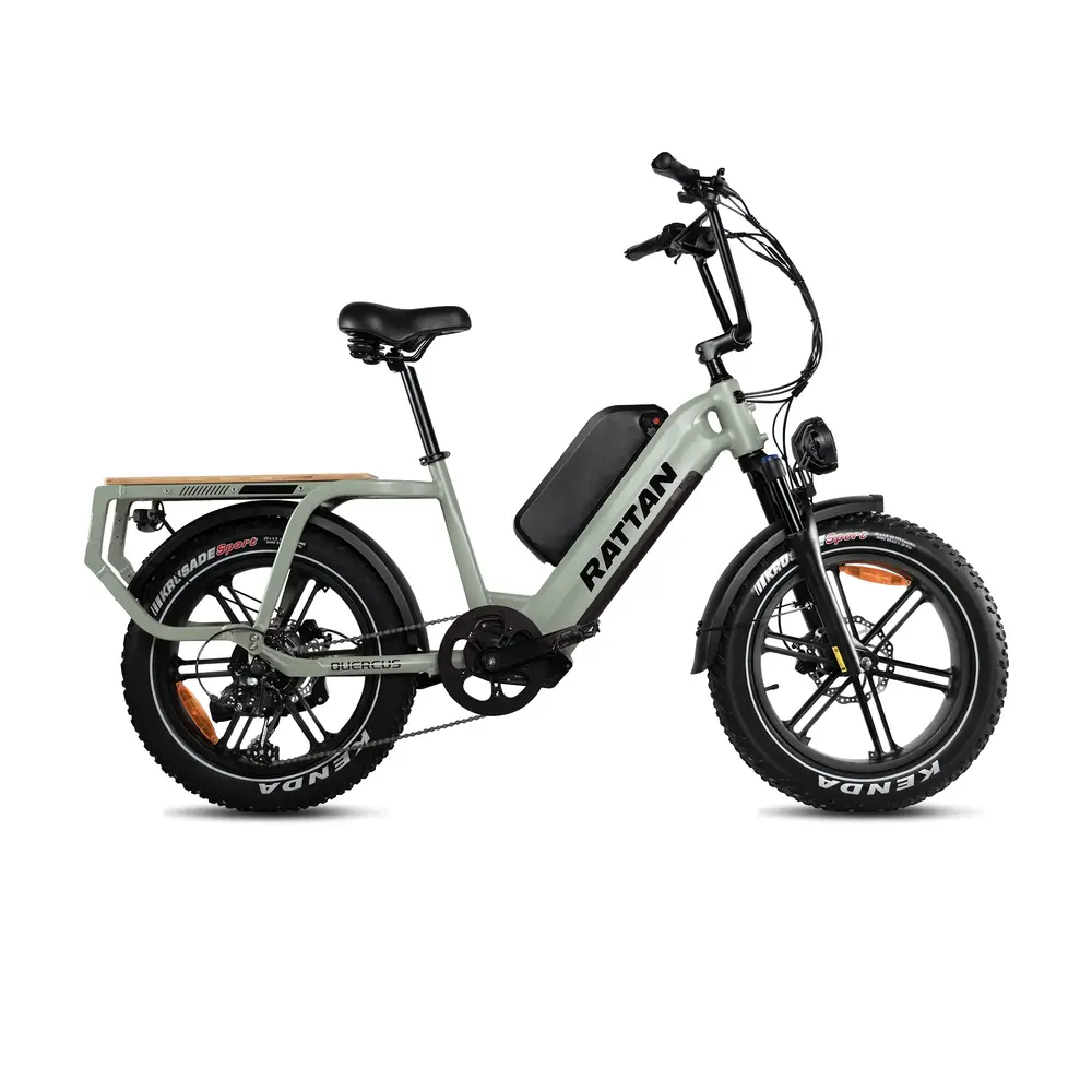 rattan quercus electric bike