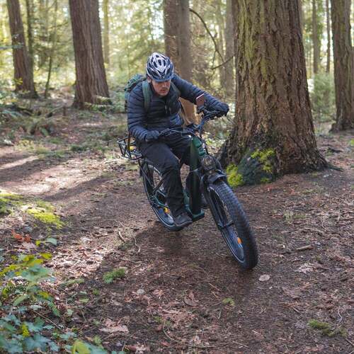 rattan pathfinder ebike