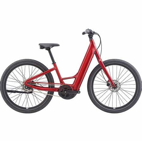 Giant Momentum Vida E ebike