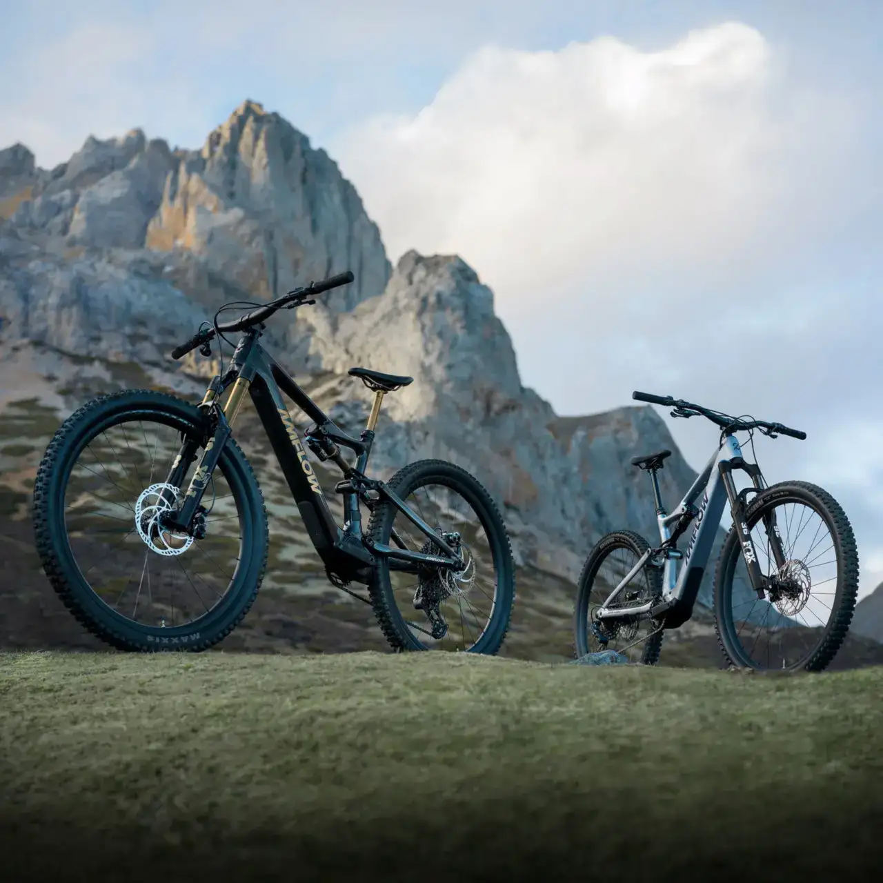 Amflow PL Carbon Pro mountain ebike