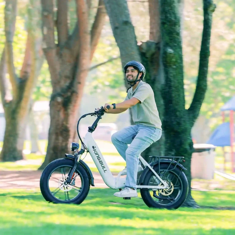 kingbull literider 2.0 folding fat tire ebike