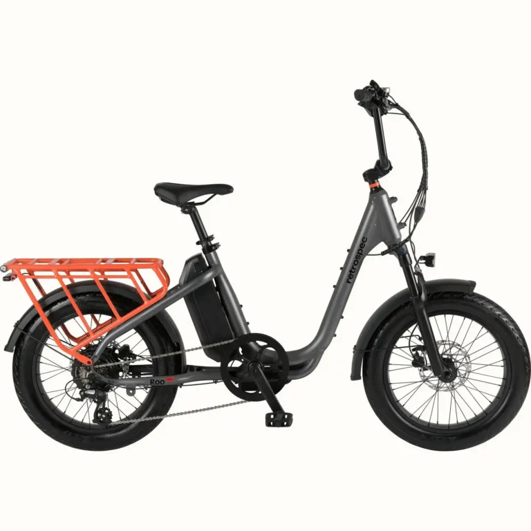 retrospec roo rev cargo electric bike
