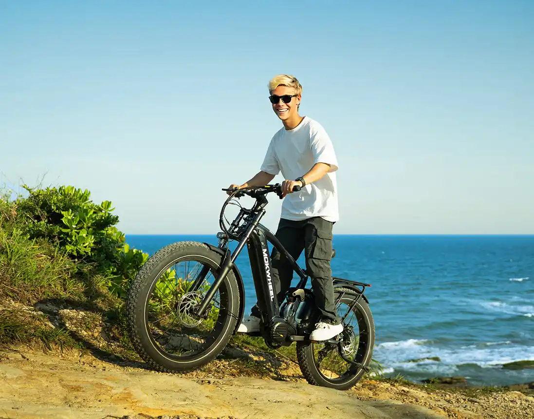 mokwheel onyx fat tire ebike