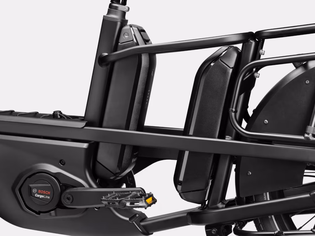 cannondale cargowagen neo dual battery mounts