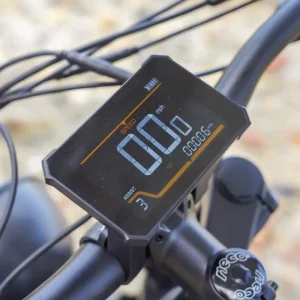 The color LCD display provides speed, battery level, assist settings, trip data, and other ride information at a glance.