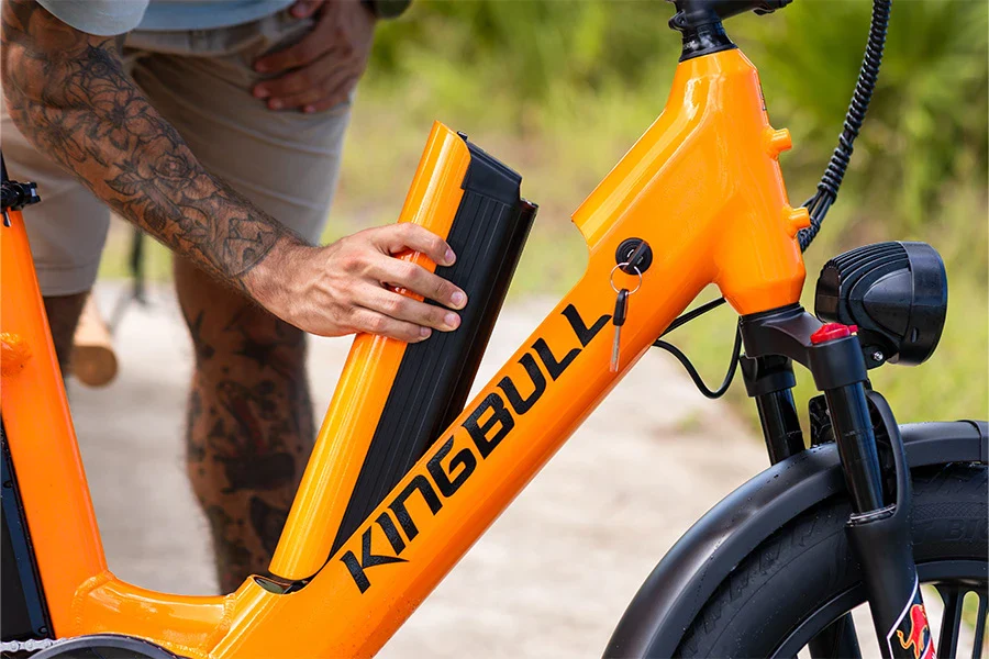 kingbull voyager removable battery