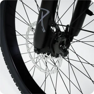 lectric xp 4 brakes